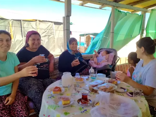 Pandemi beş yıldızlı otellere komşu 'Çardak Beach' tatili sezonunu uzattı