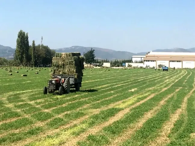 Germencik Belediyesi'nden üreticiye katkı
