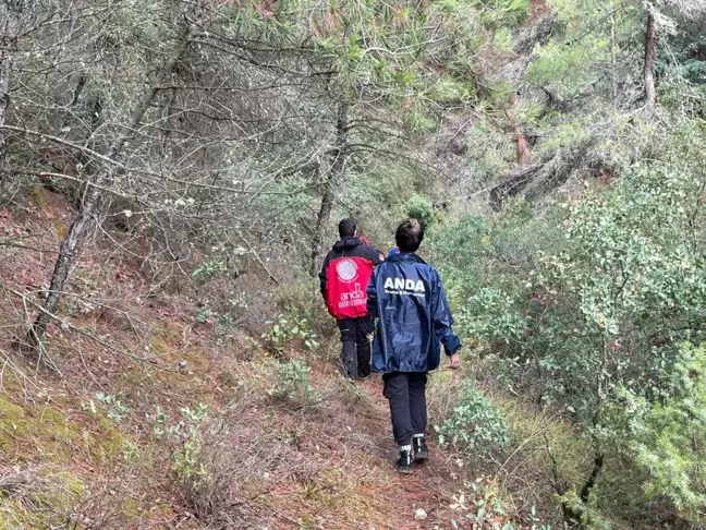 Bilecik'te kayıp alzheimer hastası aranıyor