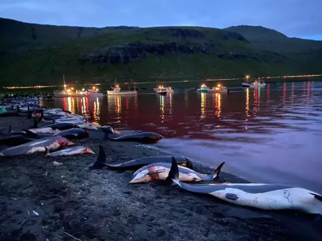 Faroe Adaları'ndaki 