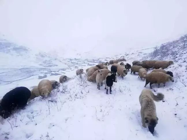 Bayburt'un yüksek kesimleri beyaza büründü