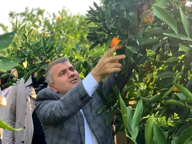 Milletvekili Mustafa Canbey'den iki günde iki hasat