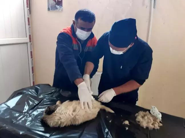 KÖYDES ekibinden örnek davranış
