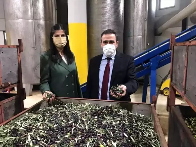 Burhaniye Kaymakamı zeytinyağı işletme ziyaretlerine devam ediyor