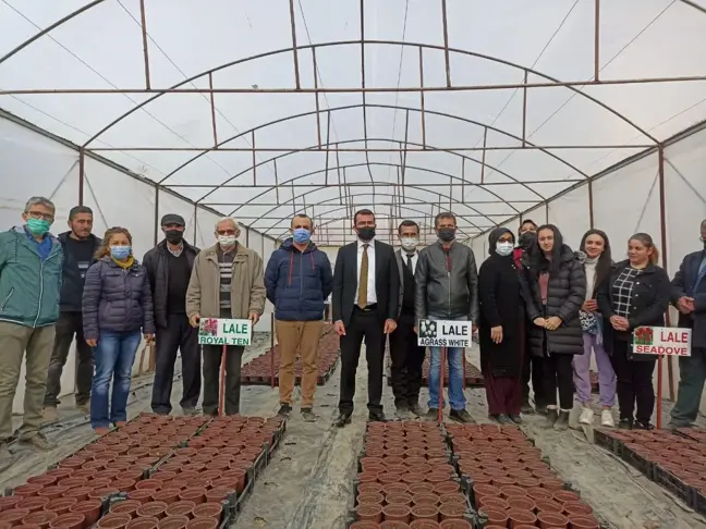 Şarkikaraağaç'ta 8 bin lale ve sümbül soğanı dikildi