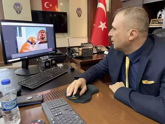 Ardahan Emniyet Müdürü Ünsal Hayal, AA'nın 