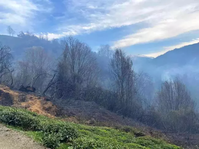 Rize'nin Fındıklı ilçesinde yangın