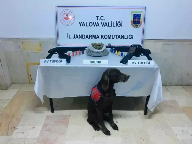 Çınarcık'ta uyuşturucu operasyonu