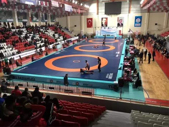 Erzincanlı güreşçiler Türkiye Serbest Güreş Şampiyonasında ter döktü