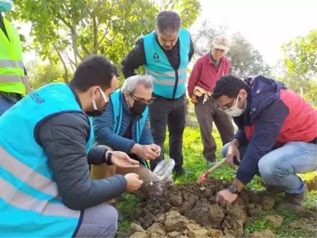 Germencik'te arazilerde oluşan çatlakların nedeninin 'kuraklık' olduğu belirlendi
