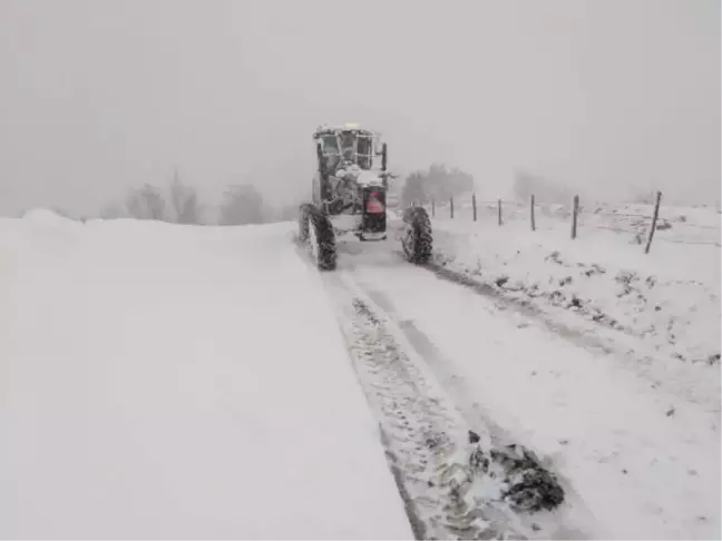 Doğu Karadeniz'de kar esareti; 366 yol kapandı