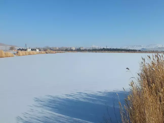 Son dakika haber! Sivas'ta Ulaş Gölü'nün yüzeyi buz tuttu