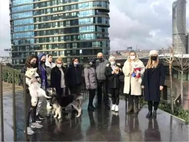 Kadıköy'de lüks sitede köpek besleyen hayvansevere tehdit: 