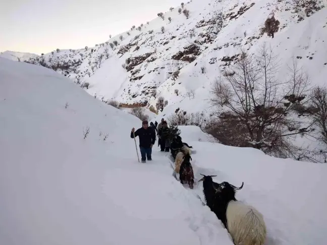 Karda kaybolan keçiler için seferber oldular