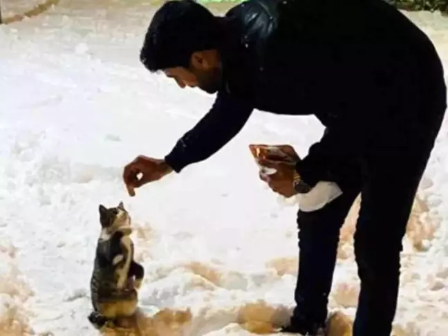 Dönüp gitmek yerine onları beslemek için yiyecekle geri dönmeyi seçti