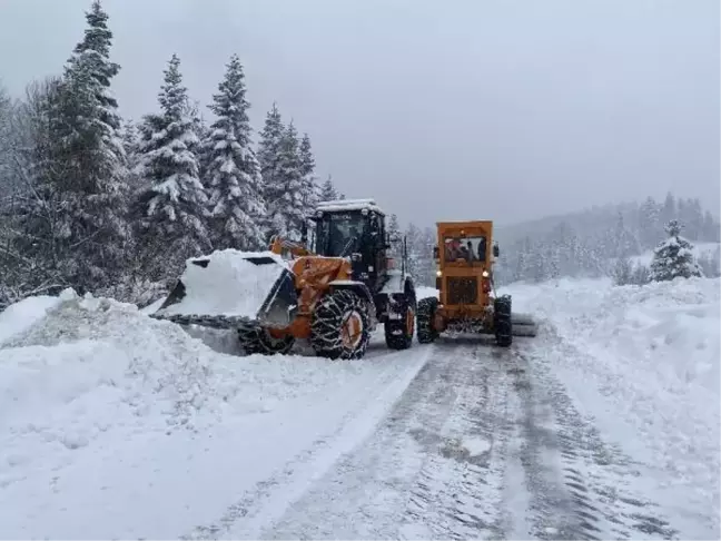 BARTIN'DA 219 KÖY YOLU ULAŞIMA KAPANDI, 86 KÖYDE ELEKTRİK YOK