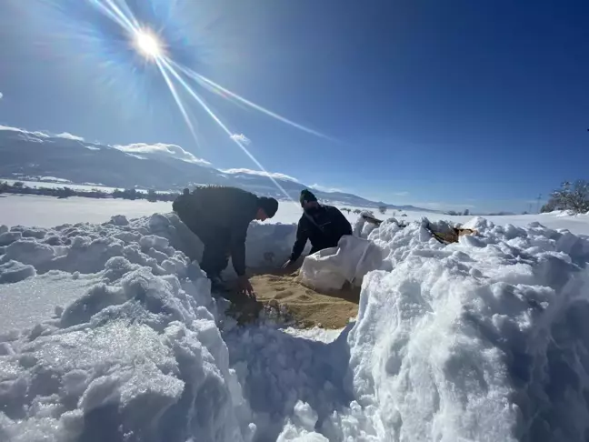 Yaban hayvanları için doğaya 4 ton yem bırakıldı