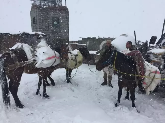 İran'dan Van'a atlarla getirilmeye çalışılan çok sayıda av tüfeği ele geçirildi