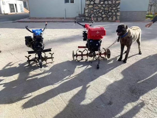 Elazığ'da çapa motoru ve kangal köpeği çalan şüpheliler yakalandı