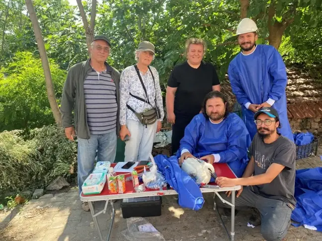 Yaren leyleğin halkalı yavrusu Bursa'ya geri döndü