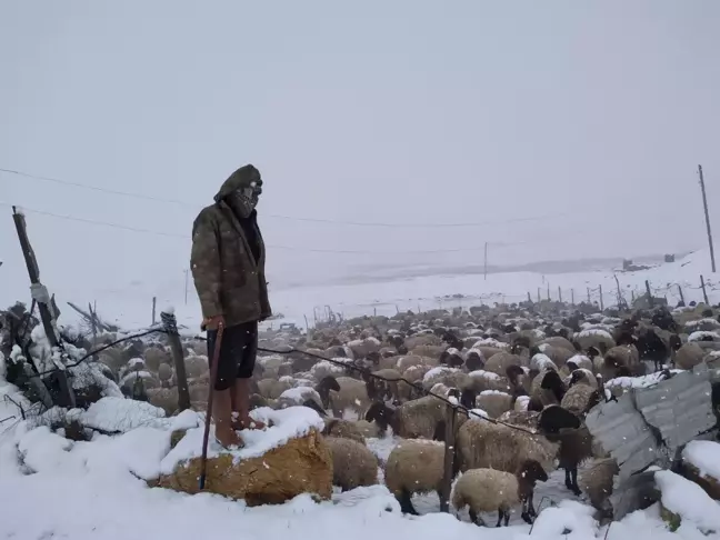 Göçerler, kar ve tipi nedeniyle Faraşin Yaylası'nda mahsur kaldı