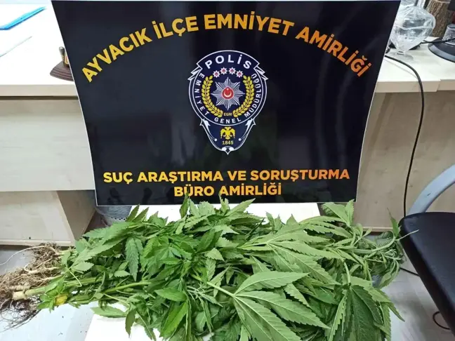 Ayvacık'ta uyuşturucu operasyonunda 1 kişi tutuklandı