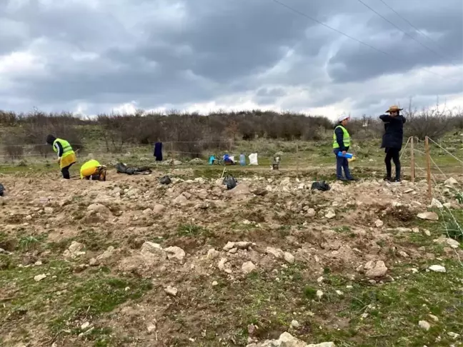 Sındırgı'da bal ormanı kuruluyor