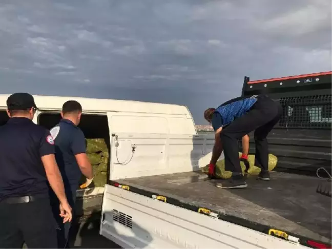 Kaçak avlanan 1,5 ton kara midyesi ele geçirildi