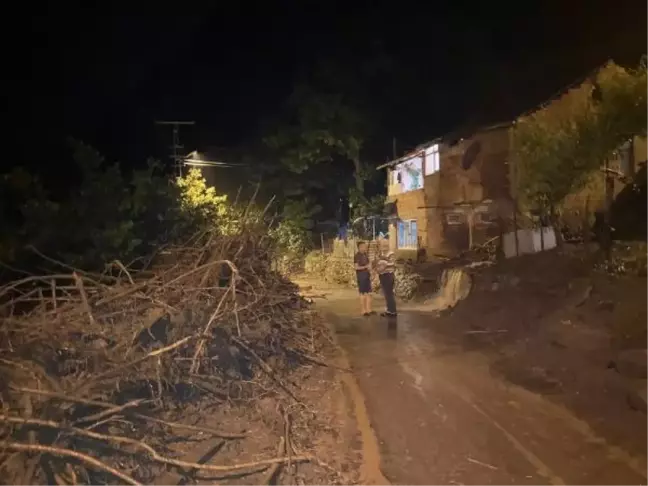 Ordu'da dere taştı, 9 evi su bastı