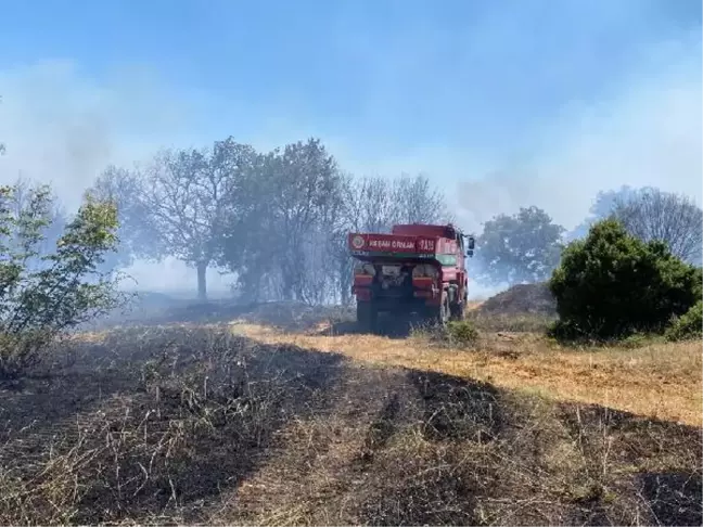 Keşan'da 2 hektar orman yandı