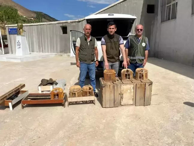 Siirt'te bir evin bahçesinde 10 canlı keklik ele geçirildi