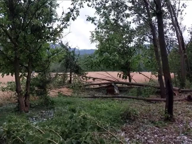 Son dakika! Nallıhan'ı sel etkisi altına aldı ceviz büyüklüğünde dolu yağdı