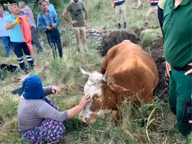 Su kuyusuna düşen inek, 40 dakikalık çalışmayla kurtarıldı