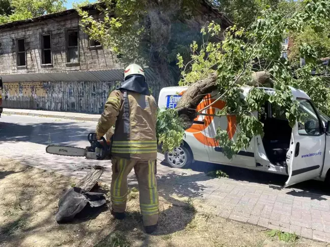 Kadıköy'de seyir halindeki aracın üzerine ağaç devrildi