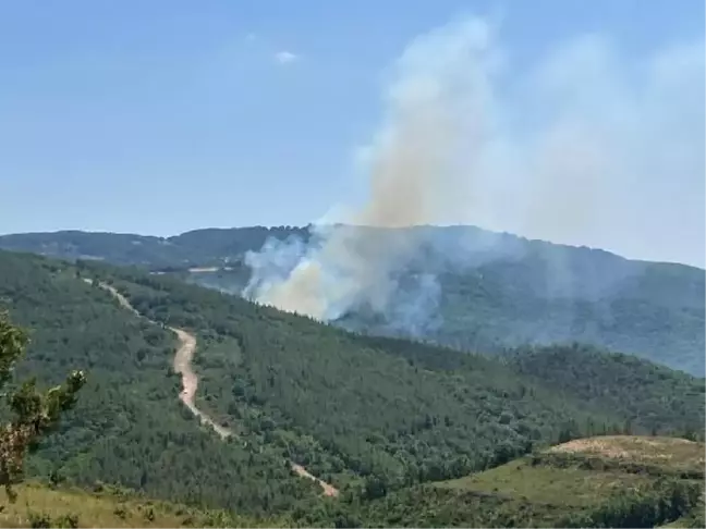 Son dakika haberleri | Biga'da orman yangını (1)