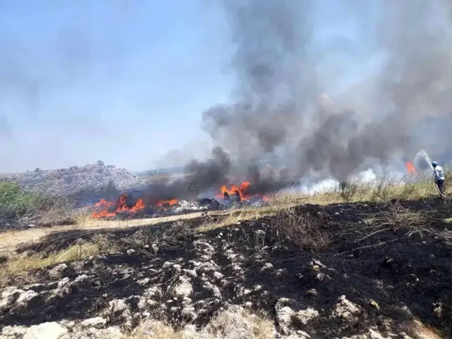 Otluk alandaki yangının tarihi kaplıcalara sıçraması son anda önlendi