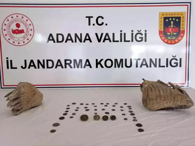 Adana haber! Adana'da mamut fosili ele geçirildi