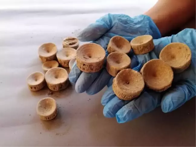 Patara'da 2 bin 600 yıllık köpek balığı ve vatoz kemikleri bulundu