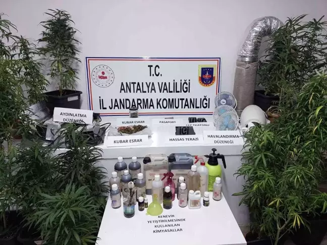 Son dakika haber: Kumluca'da jandarmadan uyuşturucu operasyonu