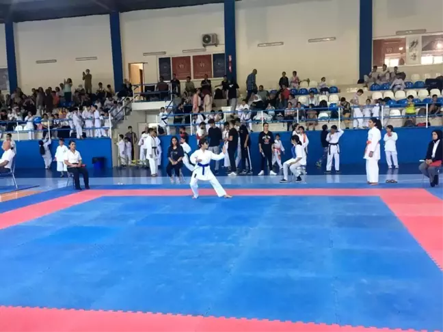 Çocuk evlerinde kalan çocuklar karate turnuvasından başarıyla döndü