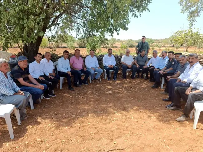 Adıyaman haberi... Besni'de fıstık hasadı başladı