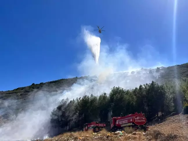 Son dakika haberi | Burdur'da orman yangını