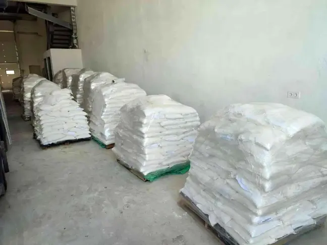 Kocaeli haber: Gölcük Belediyesi'nin yetiştirdiği buğdaylar, ihtiyaç sahipleri için yaklaşık 10 ton una dönüştü