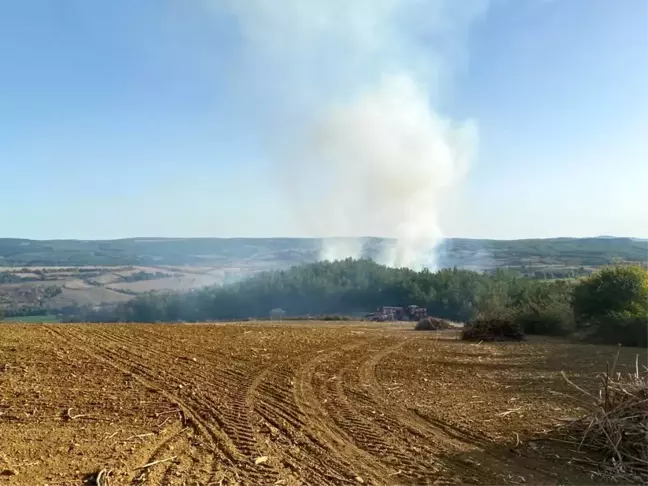 Tekirdağ 3. sayfa: Tekirdağ'da orman yangını