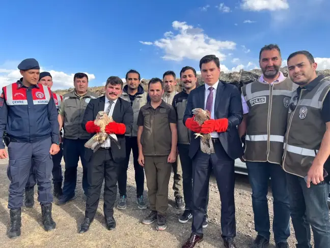 Kars haber: Kars'ta tedavisi tamamlanan kartal ve iki kızıl şahin doğaya bırakıldı