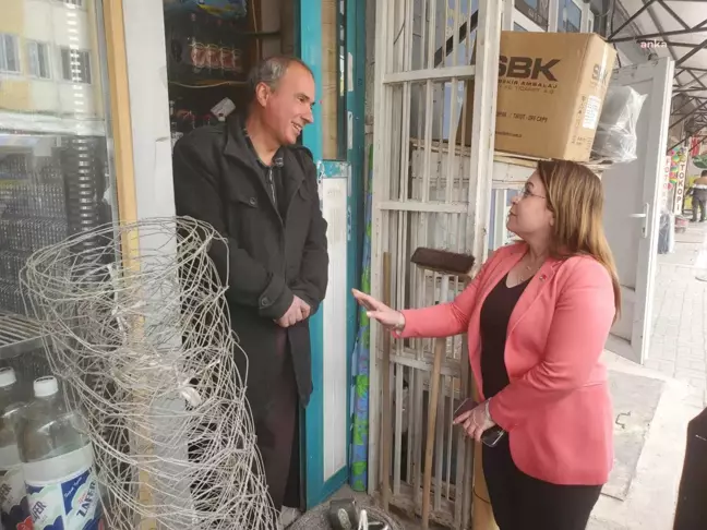 Gülizar Biçer Karaca: