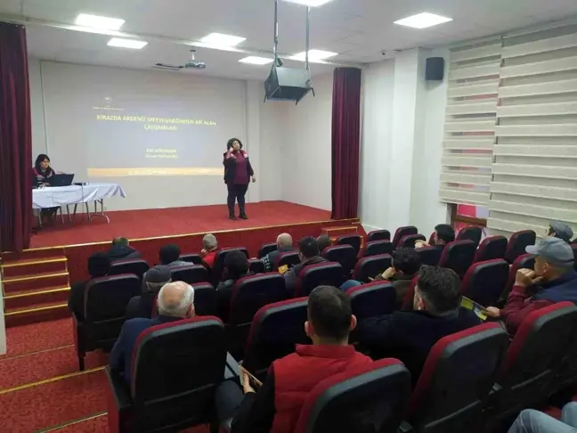 Mihalıççık'ta kiraz üreticilerine yönelik eğitimler devam ediyor