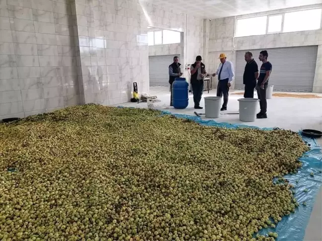 Bayburt'ta belediyenin kurduğu fabrika hem işçiye hem çiftçiye kazandırıyor