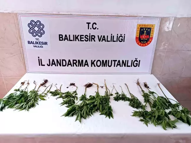 Balıkesir'de Uyuşturucu Operasyonu: İki Şüpheli Yakalandı