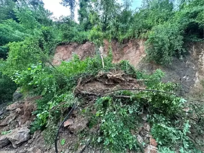 Ordu'da heyelan nedeniyle yol ulaşıma kapandı